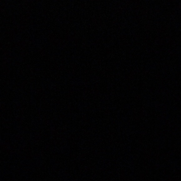 Meet your Posher, Sophie - Picture 1 of 1